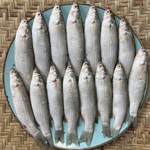 Parshe Fish (পারশে মাছ)